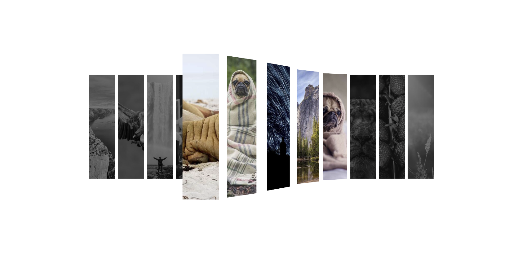 Build a Stunning 3D Image Carousel with Wave Animation in Minutes!